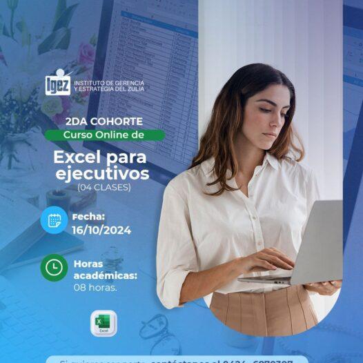 Curso online: Excel para Ejecutivos